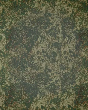 Тиси камуфлированная арт. ТС-306-1-1791.009 Тиси камуфлированная арт. ТС-306-1-1791.009